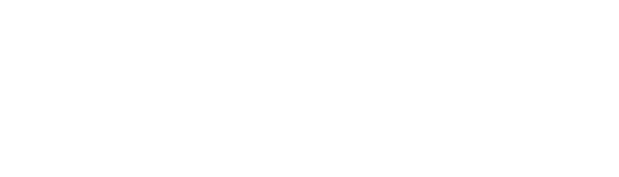Associação Guias de Portugal
